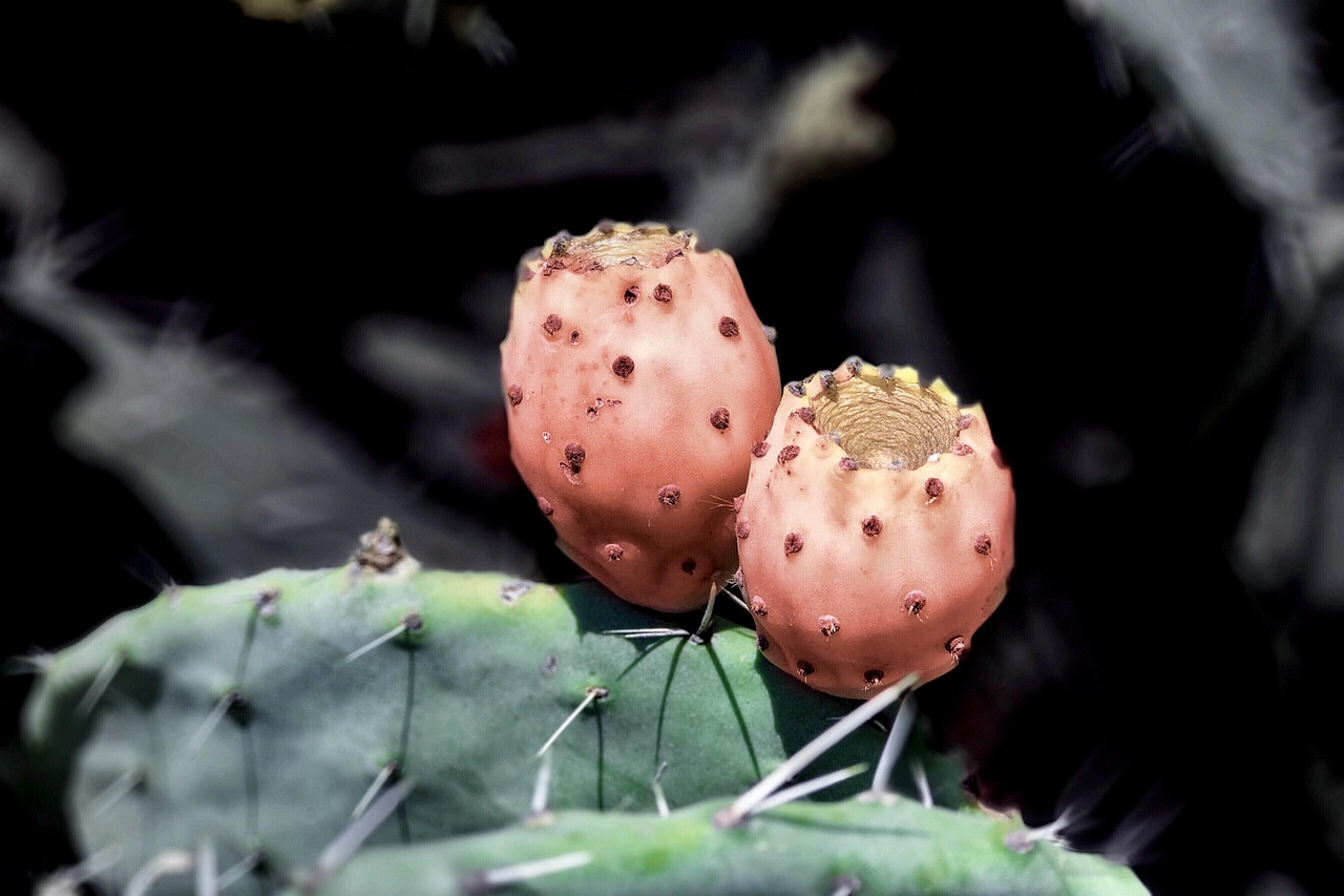découvrez les métiers verts, des emplois durables qui contribuent à la protection de l'environnement et à la transition écologique.