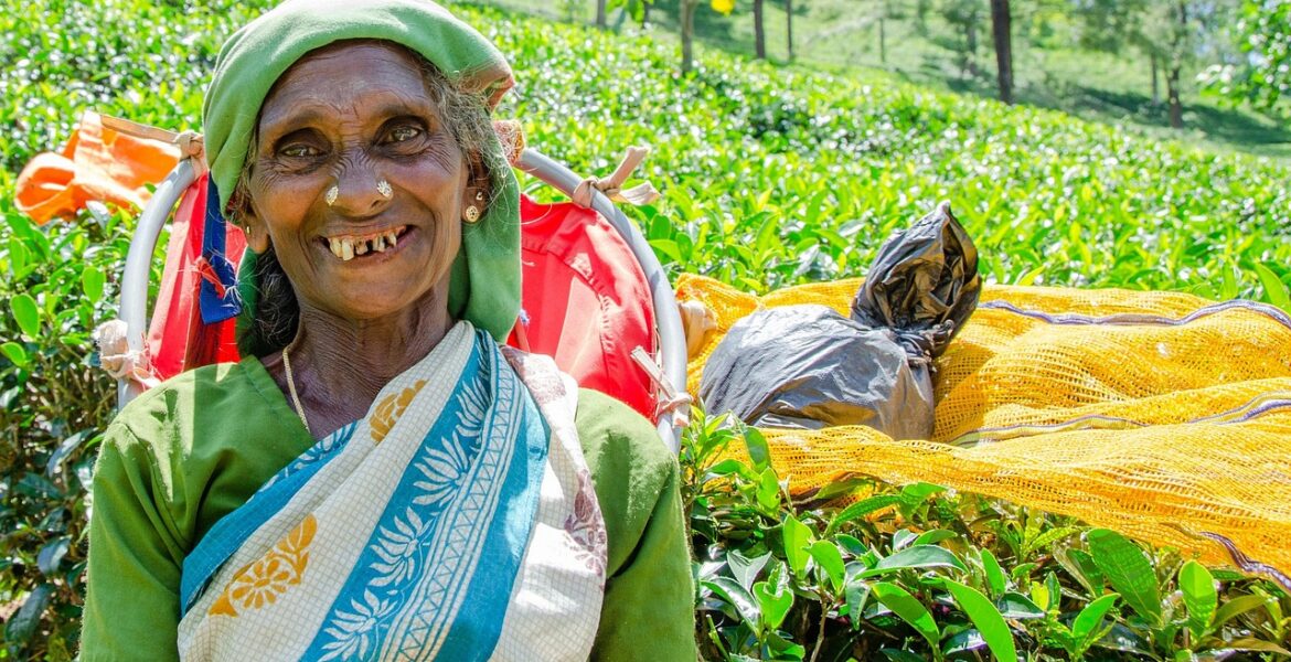 découvrez les emplois verts et les carrières durables qui contribuent à la protection de l'environnement et au développement écologique.