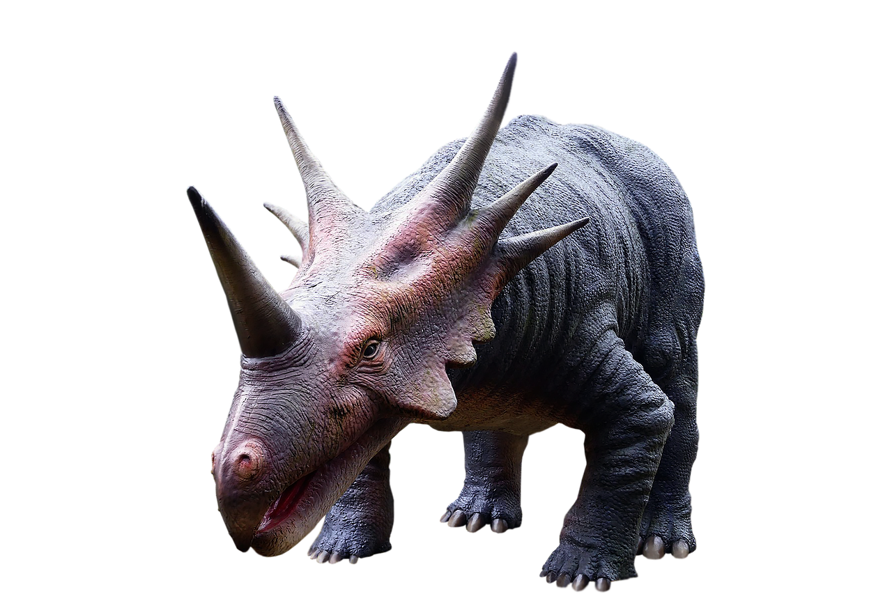 découvrez l'évolution fascinante des langues à travers l'histoire, leur transformation et leur impact sur la communication humaine.