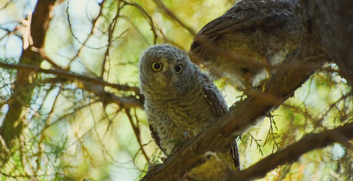 découvrez ce qu'est une scop, une société coopérative et participative où les salariés sont associés, favorisant la démocratie et la solidarité en entreprise.