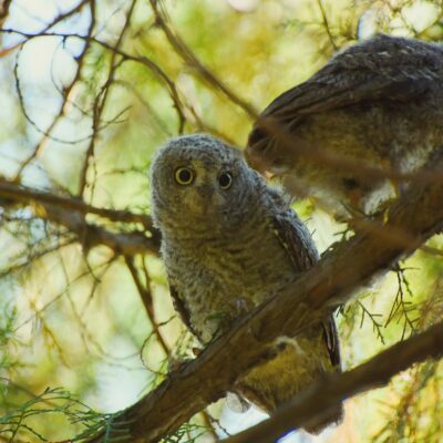 découvrez ce qu'est une scop, une société coopérative et participative où les salariés sont associés, favorisant la démocratie et la solidarité en entreprise.