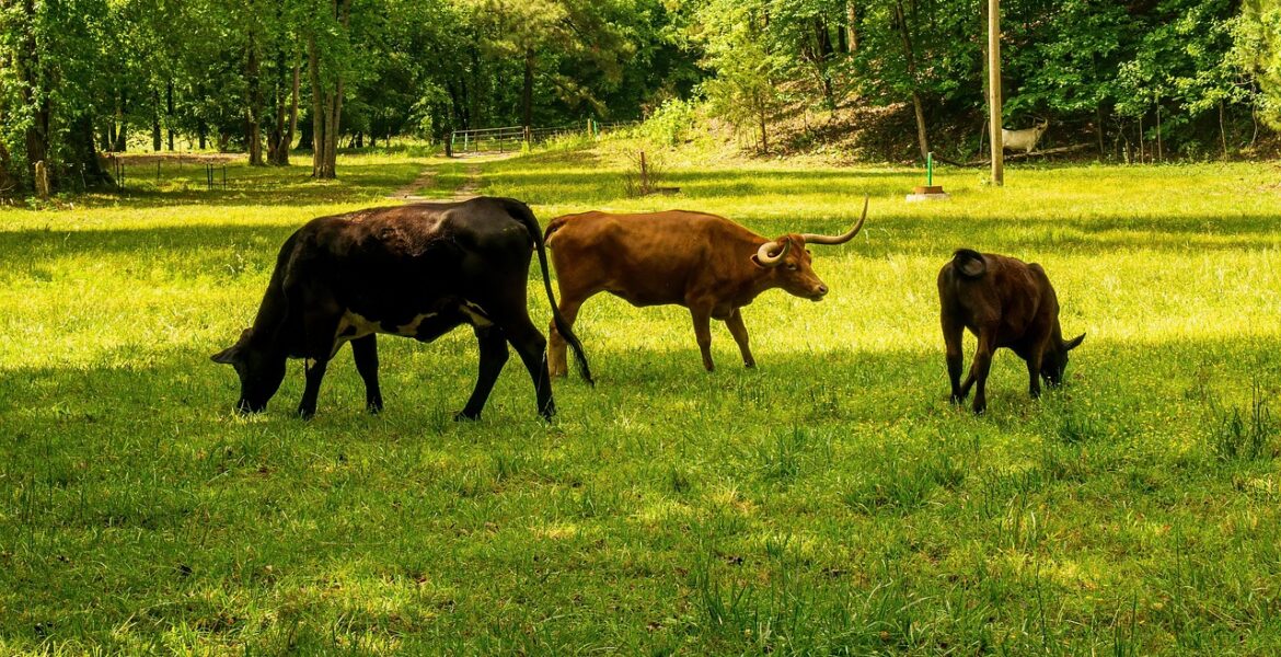 découvrez comment mesurer et réduire votre empreinte carbone pour un impact environnemental positif et un mode de vie durable.