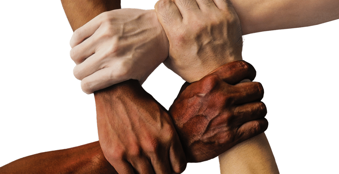 découvrez crystal union, un acteur majeur dans la production de sucre et de bioénergie, engagé dans l'innovation et le développement durable.