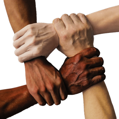 découvrez crystal union, un acteur majeur dans la production de sucre et de bioénergie, engagé dans l'innovation et le développement durable.