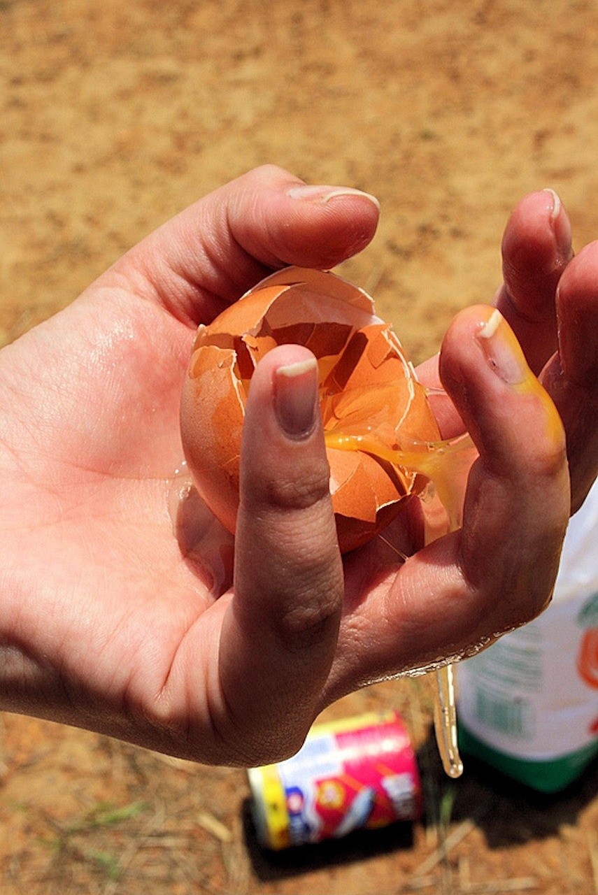 découvrez des conseils pratiques et des solutions efficaces pour réduire le gaspillage alimentaire, préserver l'environnement et économiser de l'argent au quotidien.