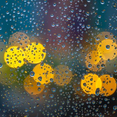 découvrez notre système innovant d'arrosage en verre, alliant esthétique et fonctionnalité pour prendre soin de vos plantes avec élégance.