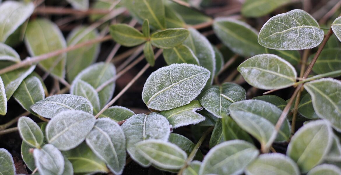 découvrez des stratégies efficaces pour stimuler la croissance de votre entreprise et atteindre vos objectifs de développement.