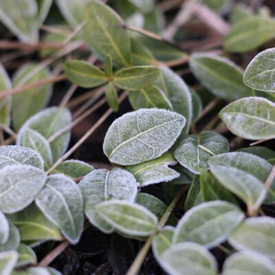 découvrez des stratégies efficaces pour stimuler la croissance de votre entreprise et atteindre vos objectifs de développement.