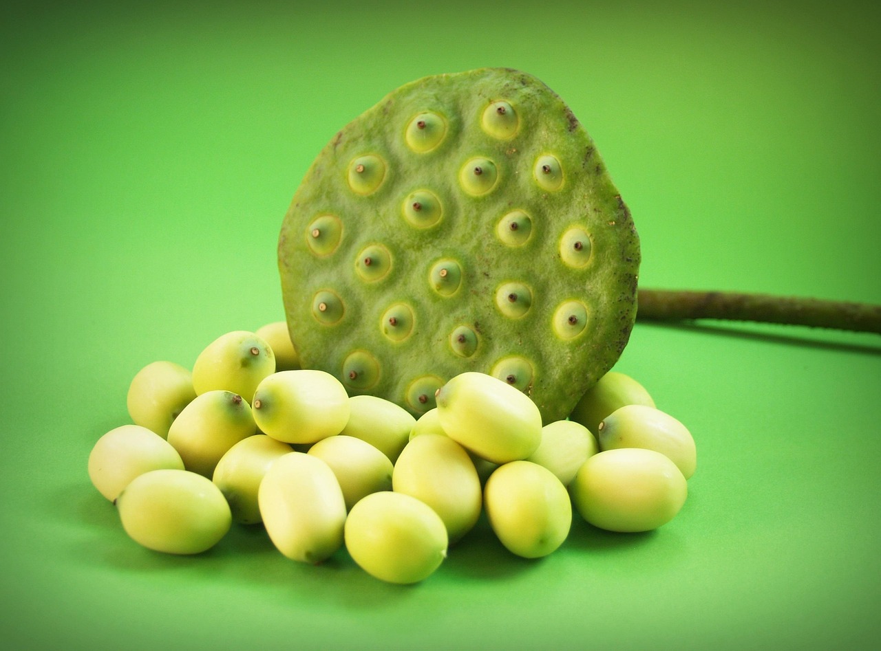 découvrez notre sélection détaillée de produits biologiques frais, cultivés naturellement pour une alimentation saine et respectueuse de l'environnement.