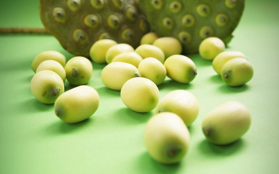 découvrez les détails de nos produits bio : fraîcheur, qualité et saveurs authentiques pour une alimentation saine et responsable.