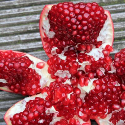 réduisez l'utilisation de flyers efficacement pour un marketing plus écologique et économique.