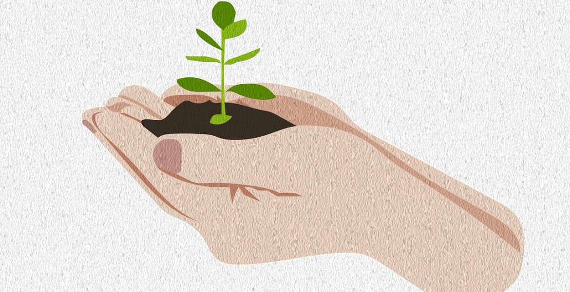 découvrez les méthodes essentielles de conservation des sols pour protéger l'environnement, améliorer la fertilité et assurer une agriculture durable.