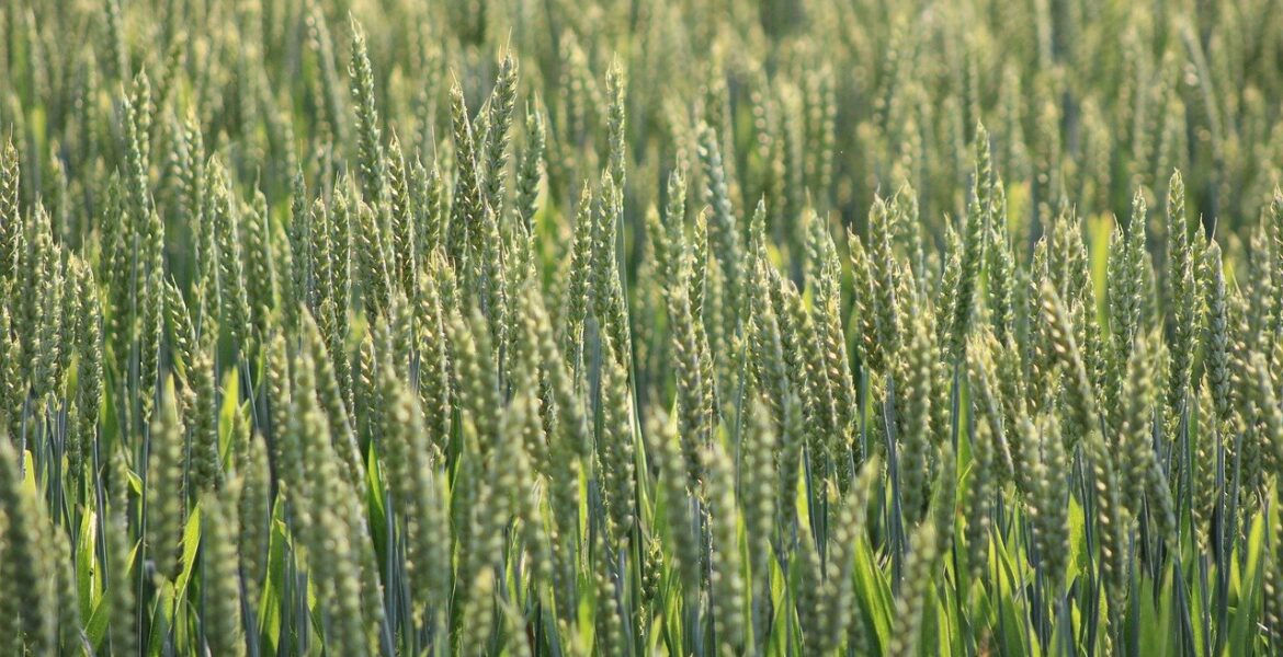 découvrez les pratiques d’édition durables qui allient respect de l’environnement et innovation, pour un avenir plus responsable dans le secteur de l'édition.