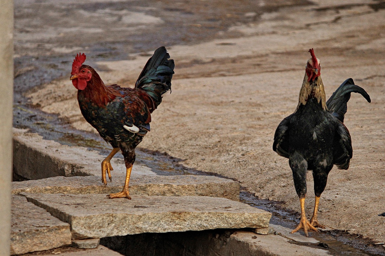 découvrez les avantages de l'agriculture locale : produits frais, soutien aux producteurs de proximité et respect de l'environnement.