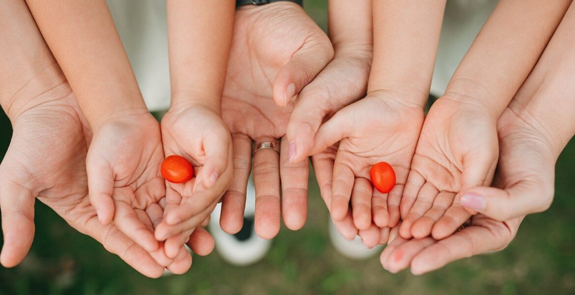 découvrez nos supports pour tomates, idéaux pour guider et protéger vos plants de tomates afin d'obtenir une récolte abondante et saine.